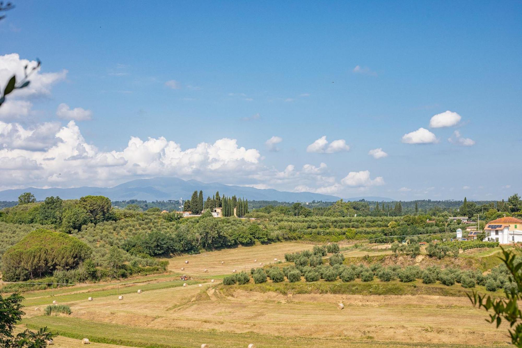 Fienile Cipresso, Art Of Living Tuscany Torre Екстер'єр фото